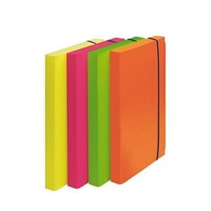 Fellowes Cartelle e Cartelline CF4 CARTELLE PROGETTO FLUO SHOCKING