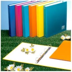 Blasetti Raccoglitori CF6RACCOGLITORE A4 ONE COLOR AD ANELLI DIAM 30 26X32CM COLORI ASSORTITI