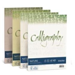 Cartotecnica Favini Cartoncini generici con busta e biglietti CF50FF NATURE 200GR A4 AGRUMI