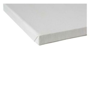 CWR Pennelli CF2 TELAI PITTURA CLASSIC CM100X120