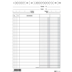 EdiPro Contabilità / Società CF100 2 COLONNE BLU