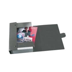 Esselte Scatole Progetto CF5SCATOLE DELSO LINE DORSO 4 GRIGIO