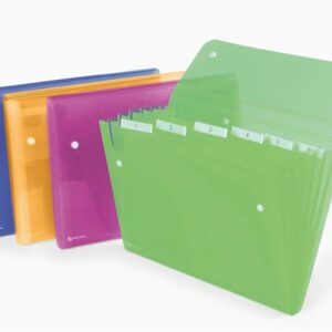 Rexel Cartelle e Cartelline ICE ARCHIV.SOFFIETTO6TASCHE ASS