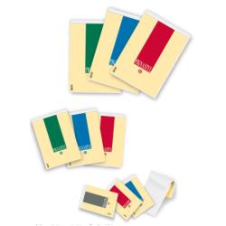 Pigna Blocchi Ufficio Blocchi Pignastyl A5  5 mm  punto metallico  Fg. 70  80 gr/mq copertina goffrata 170gr/mq  cartone di fondo pesante 700 gr/mq (conf.10)