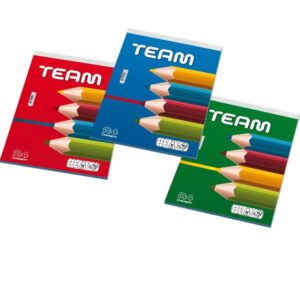 Blasetti Blocchi Ufficio CF10 BLOCCHI TEAM A4 5M  50FF