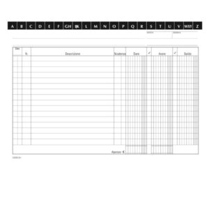 Data Ufficio Contabilità / Società 100 SCHEDE DARE/AVERE/SALDO FTO 17X24 CM