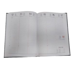 Scatolificio AGENDE e DIARI AGENDA BLU SETT 17X24 BL. FISSO