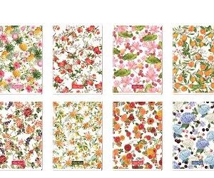 Blasetti Quaderni punto metallico CF10 PETITS FRUITS 80GR 0Q-HARD TOP – FOGLI 20+1