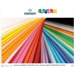 Canson Cartoncini colorati CF25Foglio COLORLINE 50x70cm 220g FUCSIA