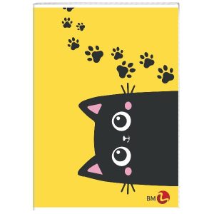 Be More Quaderni punto metallico CF 10 QUADERNI MIX 1 BAMBINA A4 80GR RIGATURA 5MM FG 20+1 COVER 200GR