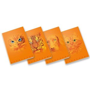 Pigna Quaderni punto metallico CF10 QUADERNO MONOCROMO ORANGE A4 100GR RIGATURA 5M FF. 38+R COVER PLASTIFICA OPACA+SERIGRAFIA LUCIDA SPESSORATA FANTASIE ASSORTITE