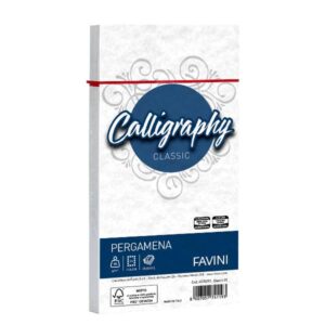 Cartotecnica Favini Cartoncini generici con busta e biglietti CF25BUSTE PERGAMENA 11X22 BIANCO