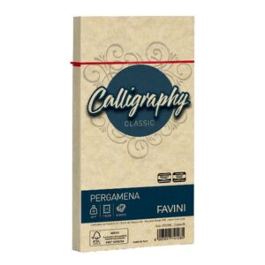 Cartotecnica Favini Cartoncini generici con busta e biglietti CF25BUSTE PERGAMENA 11X22 CREMA