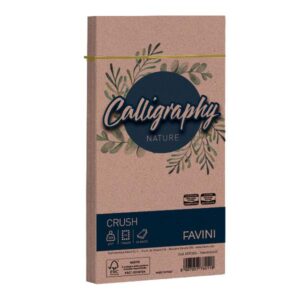 Cartotecnica Favini Cartoncini generici con busta e biglietti CF25BUSTENATURE 120G 11X22 MANDOR
