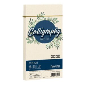 Cartotecnica Favini Cartoncini generici con busta e biglietti CF25BUSTE NATURE 100GR 11X22 AGRUMI