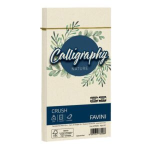 Cartotecnica Favini Cartoncini generici con busta e biglietti CF25BUSTE NATURE 90G 12X18 ALGA