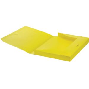 Fellowes Cartelle e Cartelline CF4 CARTELLE PROGETTO FLUO SHOCKING